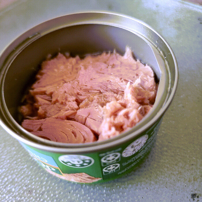 John West Skimping On Tuna & We’re Not Okay With It