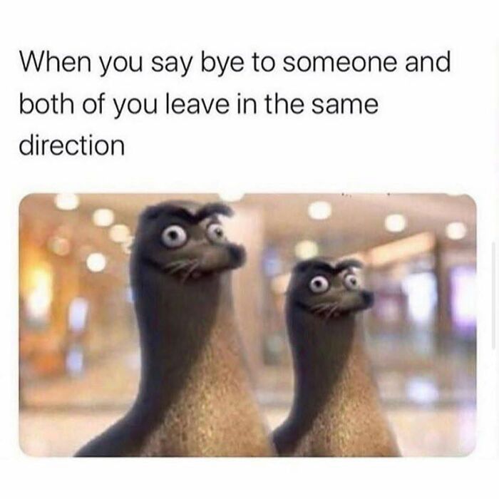 Ready To LOL? 120 Throwback Memes That’ll Make You Miss The ‘90s Hard