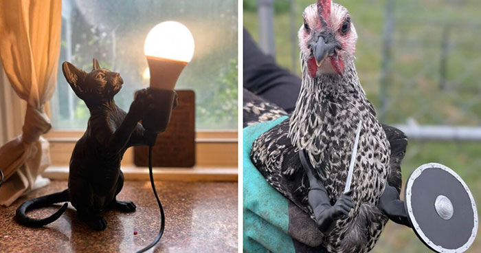 Wait Till You See These Wild 3D Prints That Are Too Cool To Ignore
