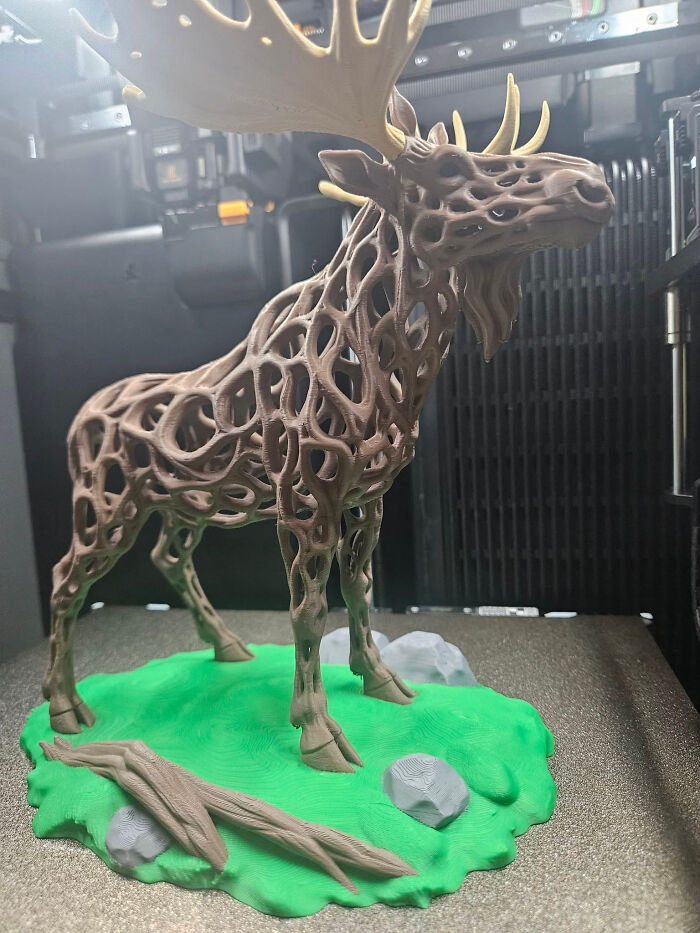 Wait Till You See These Wild 3D Prints That Are Too Cool To Ignore