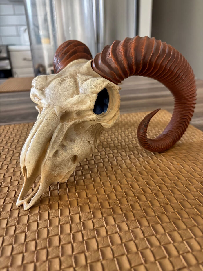 Wait Till You See These Wild 3D Prints That Are Too Cool To Ignore