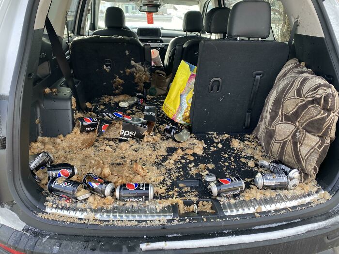 Forgot Pepsi Was In The Car During -16°F Night. Frozen Surprise!