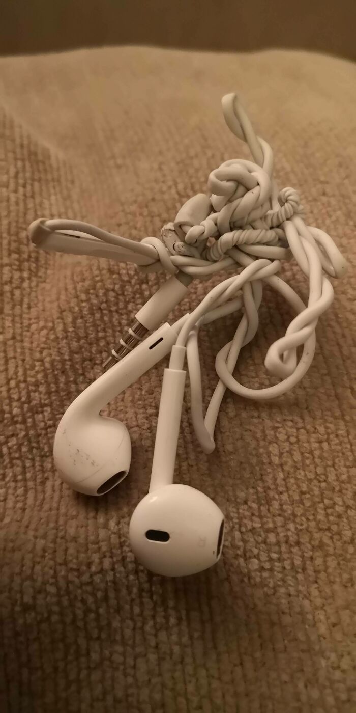 Headphones Got Roomba'd Because I Forgot To Pick Them Up