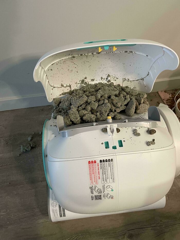 Forgot To Replace Trash Bag In Automatic Litter Box, Clean-Up Time Surprise