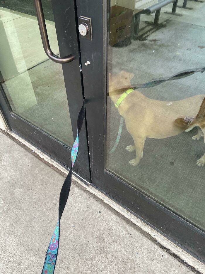 Locked Out Because I Left My Key Fob Inside And Door Shut Behind Me