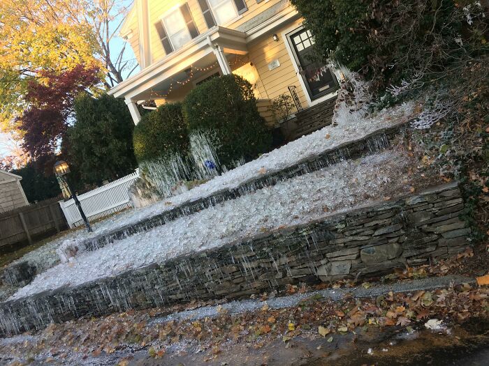 Neighbor Forgot To Turn Off Sprinklers. Oops, Wet Lawn!