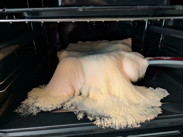 Left Rice In A Pan For 5 Days. Science Experiment Or Dinner?