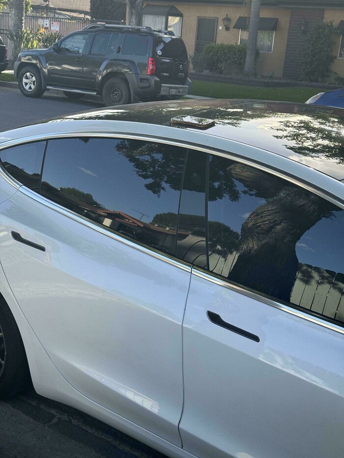 Phone Left On Top Of Car. You Know How This Ends
