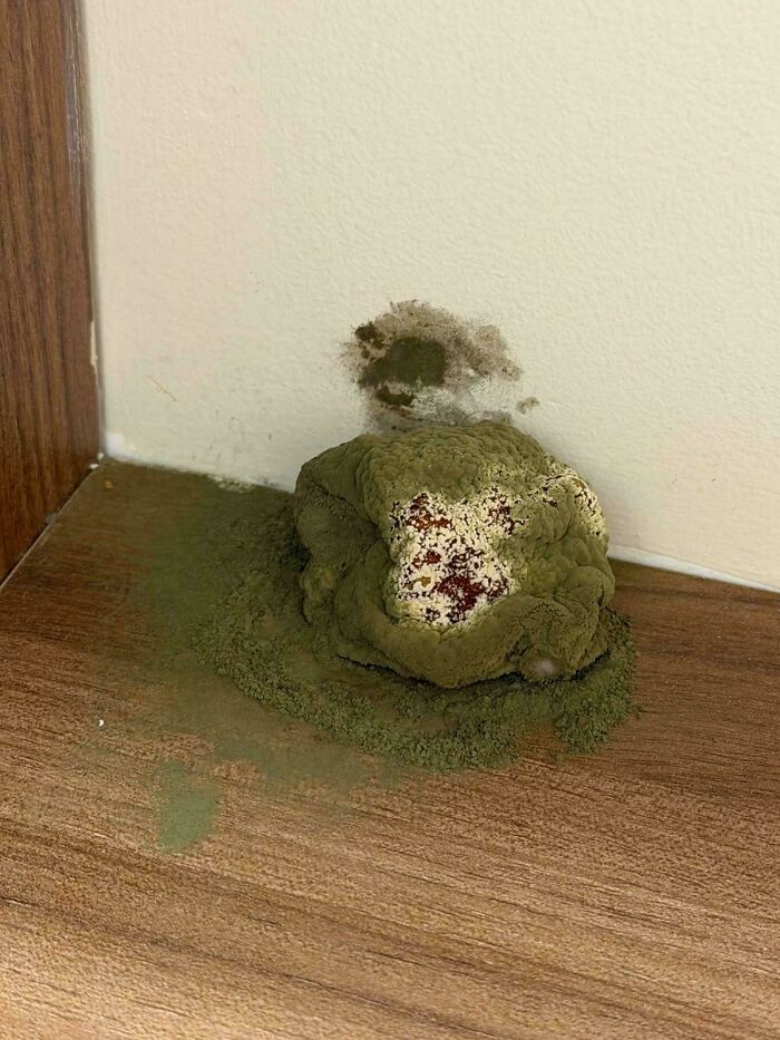 Found Forgotten Item Behind Fruit Bowl. Mystery Solved