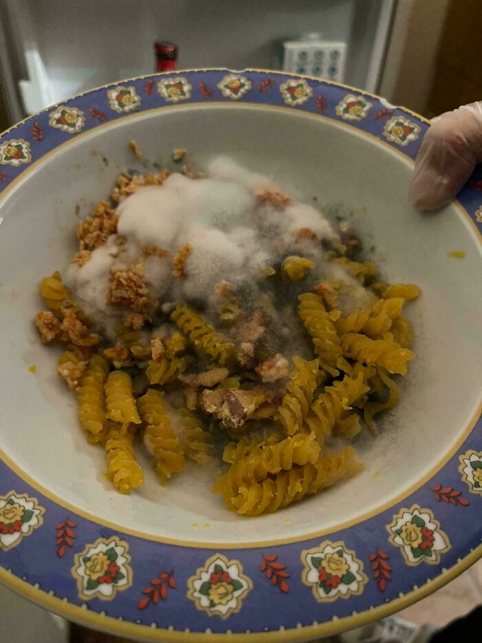 Roommate Forgot Plate Of Pasta In Fridge. Welcome To Pasta Time Capsule