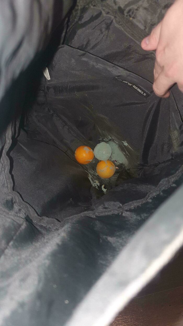 Forgot 3 Tangerines In Backpack. Mystery Smell Alert