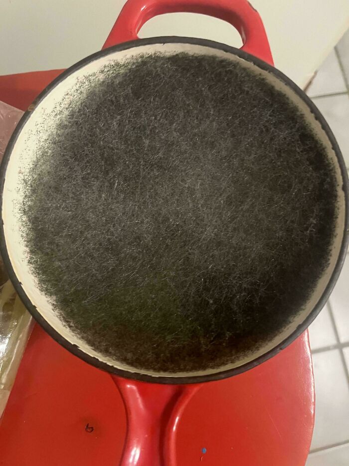 Wife Forgot About Pot Of Rice For Two Weeks. Rice, But Make It Science