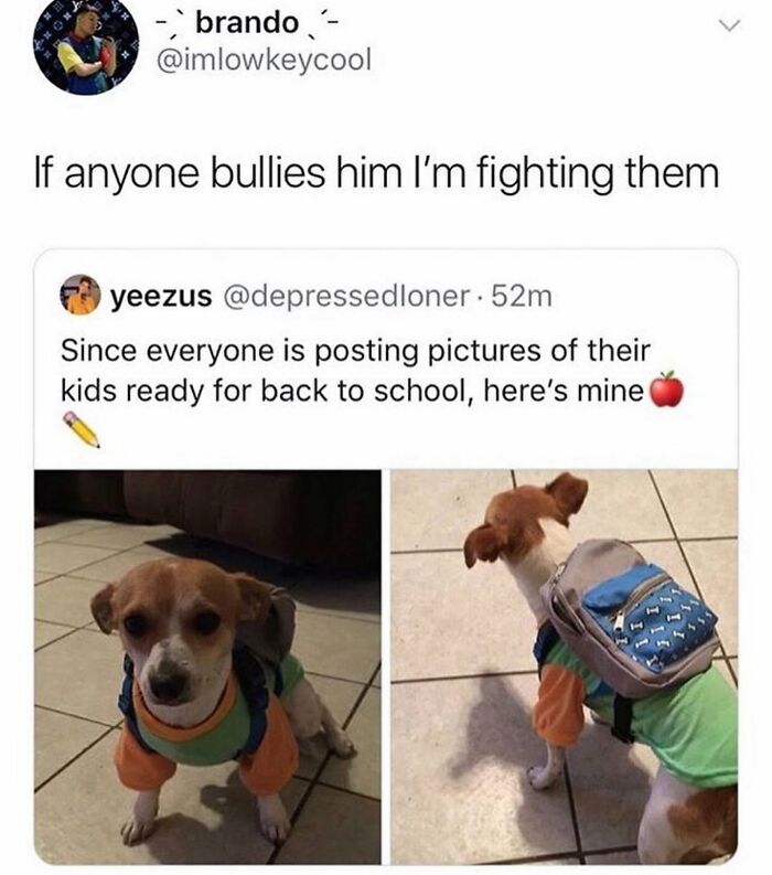 Wait Till You See These 38 Dog Memes That Nail Every Pup’s Weirdness