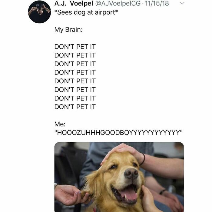 Wait Till You See These 38 Dog Memes That Nail Every Pup’s Weirdness