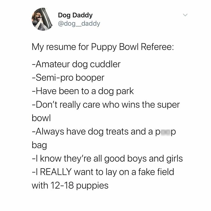 Wait Till You See These 38 Dog Memes That Nail Every Pup’s Weirdness