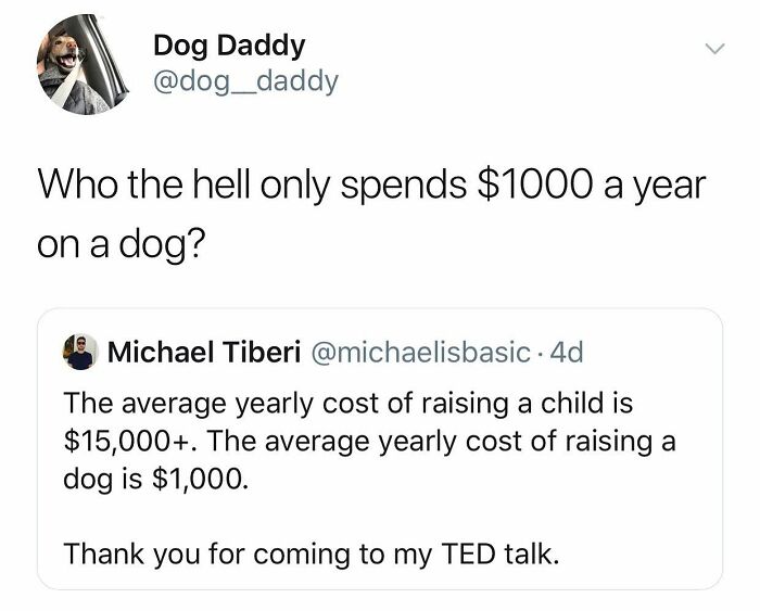 Wait Till You See These 38 Dog Memes That Nail Every Pup’s Weirdness