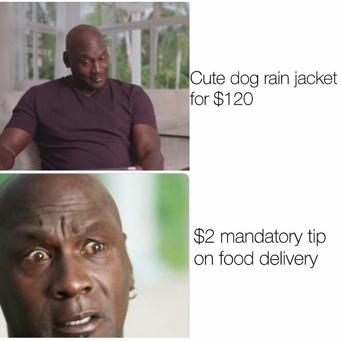 Wait Till You See These 38 Dog Memes That Nail Every Pup’s Weirdness