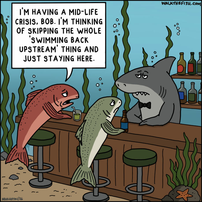 30 Single-Panel Comics That Make Total Chaos Look Way Too Chill