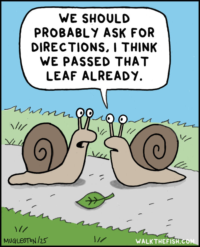 30 Single-Panel Comics That Make Total Chaos Look Way Too Chill