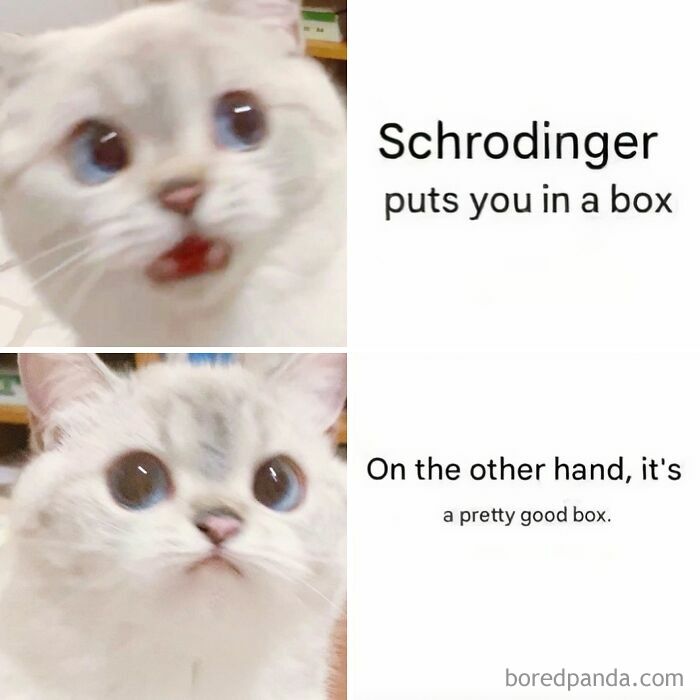 These Science Memes Are So Bad, They're Actually Genius!