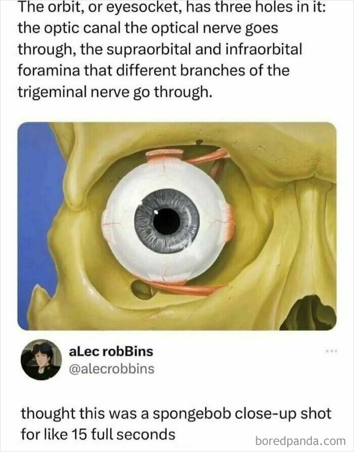 These Science Memes Are So Bad, They're Actually Genius!
