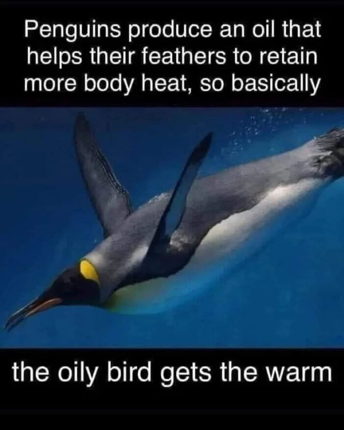 These Science Memes Are So Bad, They're Actually Genius!