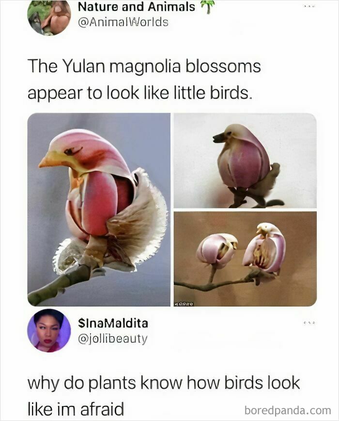 These Science Memes Are So Bad, They're Actually Genius!