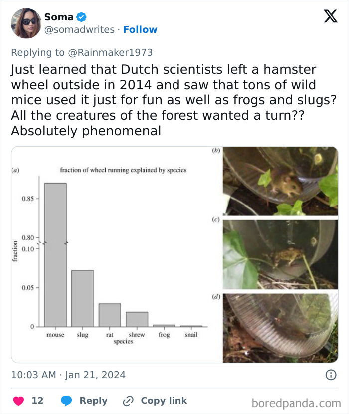 These Science Memes Are So Bad, They're Actually Genius!