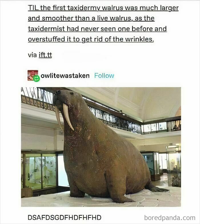These Science Memes Are So Bad, They're Actually Genius!