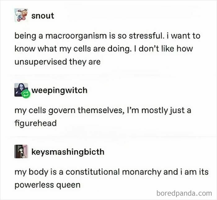 These Science Memes Are So Bad, They're Actually Genius!