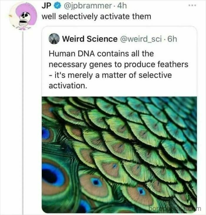 These Science Memes Are So Bad, They're Actually Genius!