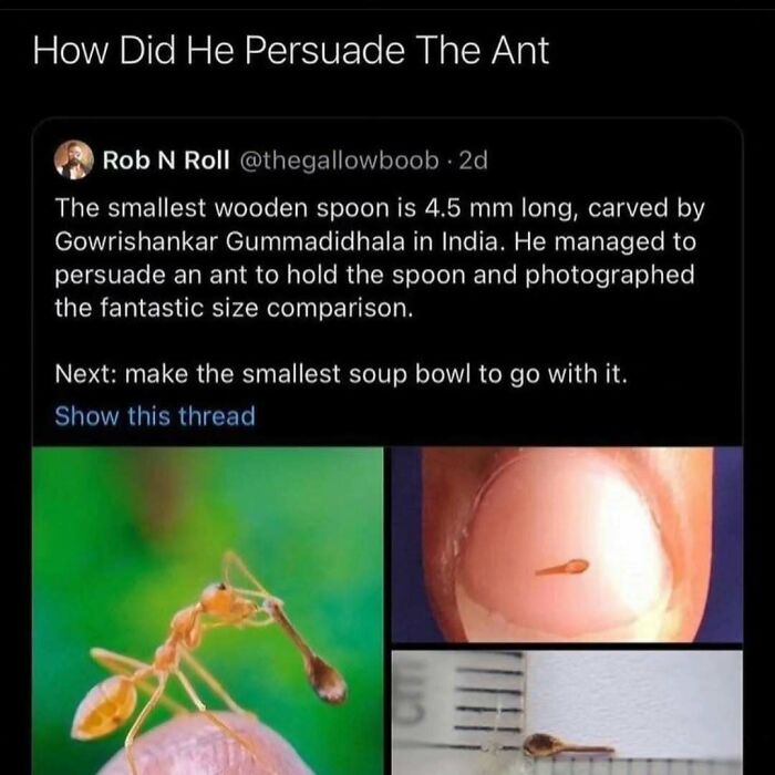 These Science Memes Are So Bad, They're Actually Genius!