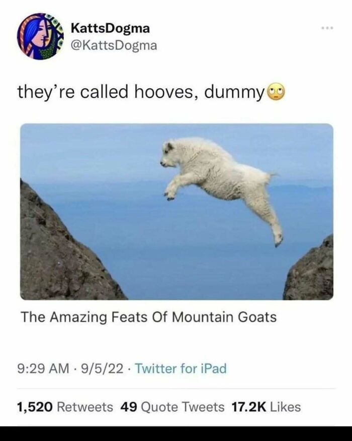 These Science Memes Are So Bad, They're Actually Genius!