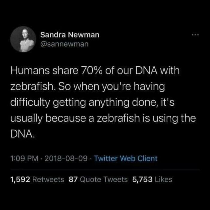 These Science Memes Are So Bad, They're Actually Genius!