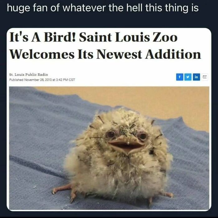 These Science Memes Are So Bad, They're Actually Genius!