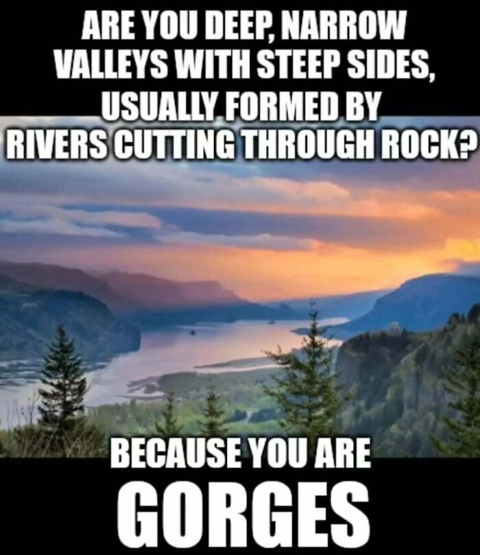 These Science Memes Are So Bad, They're Actually Genius!