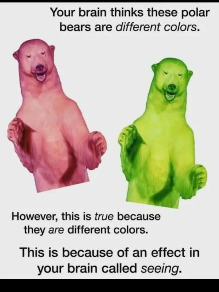 These Science Memes Are So Bad, They're Actually Genius!