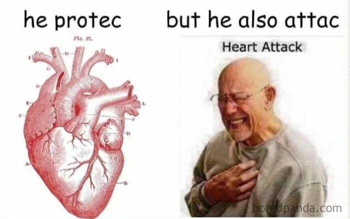 These Science Memes Are So Bad, They're Actually Genius!