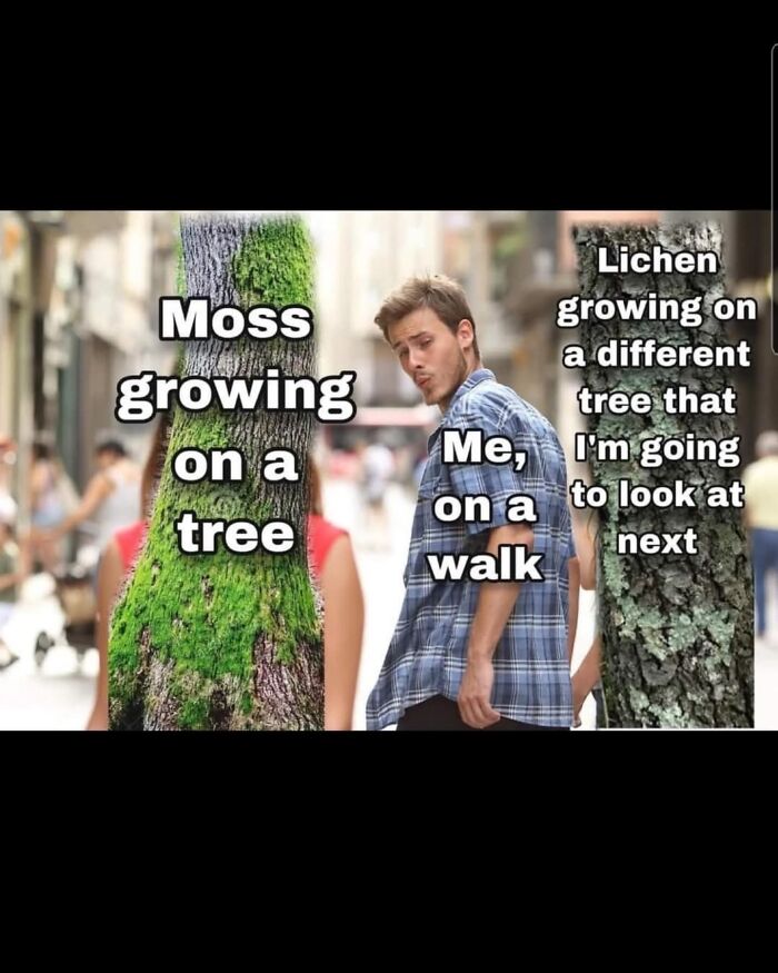 These Science Memes Are So Bad, They're Actually Genius!