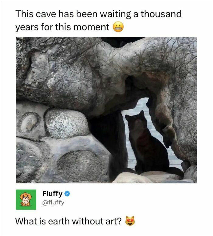 These Animal Memes Are So Funny, They Might Just Make Your Day