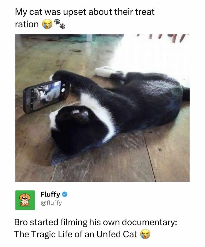 These Animal Memes Are So Funny, They Might Just Make Your Day