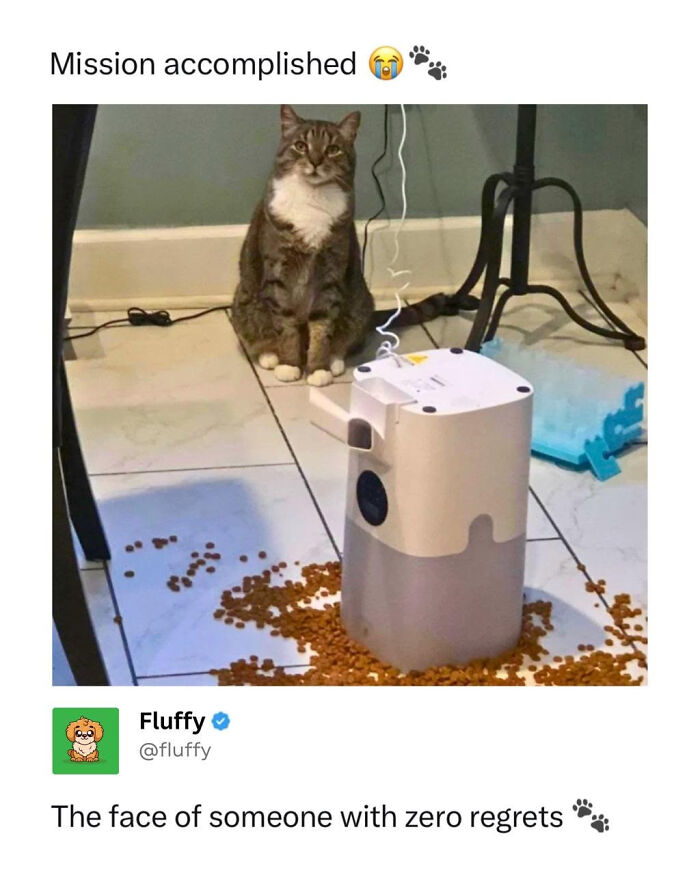 These Animal Memes Are So Funny, They Might Just Make Your Day