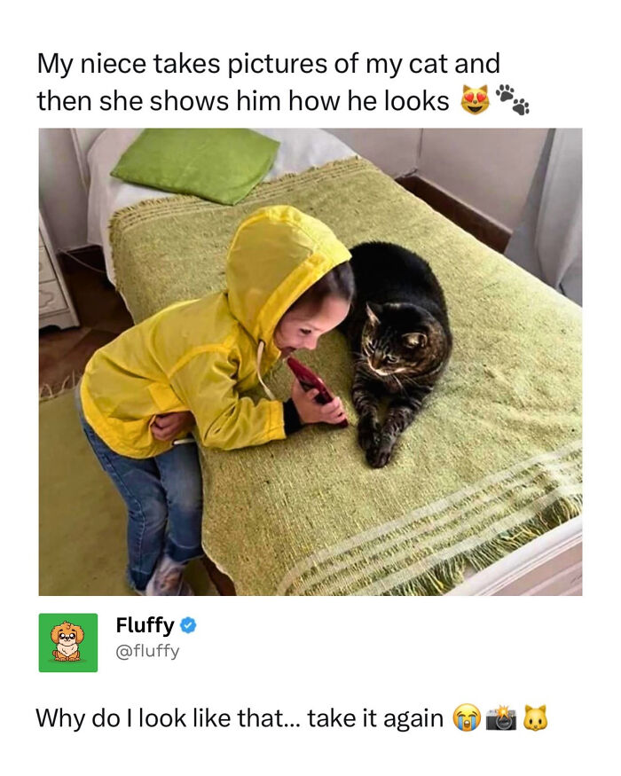 These Animal Memes Are So Funny, They Might Just Make Your Day