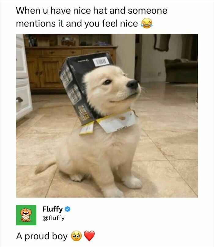 These Animal Memes Are So Funny, They Might Just Make Your Day