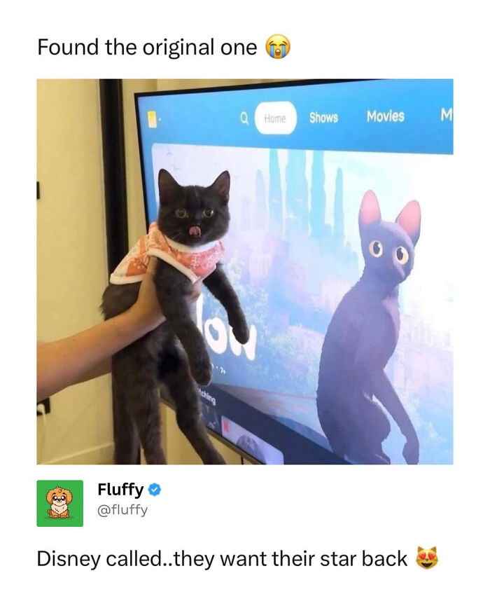 These Animal Memes Are So Funny, They Might Just Make Your Day