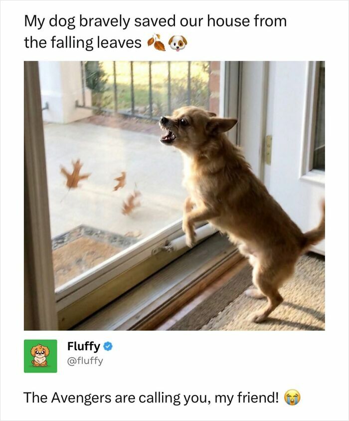 These Animal Memes Are So Funny, They Might Just Make Your Day