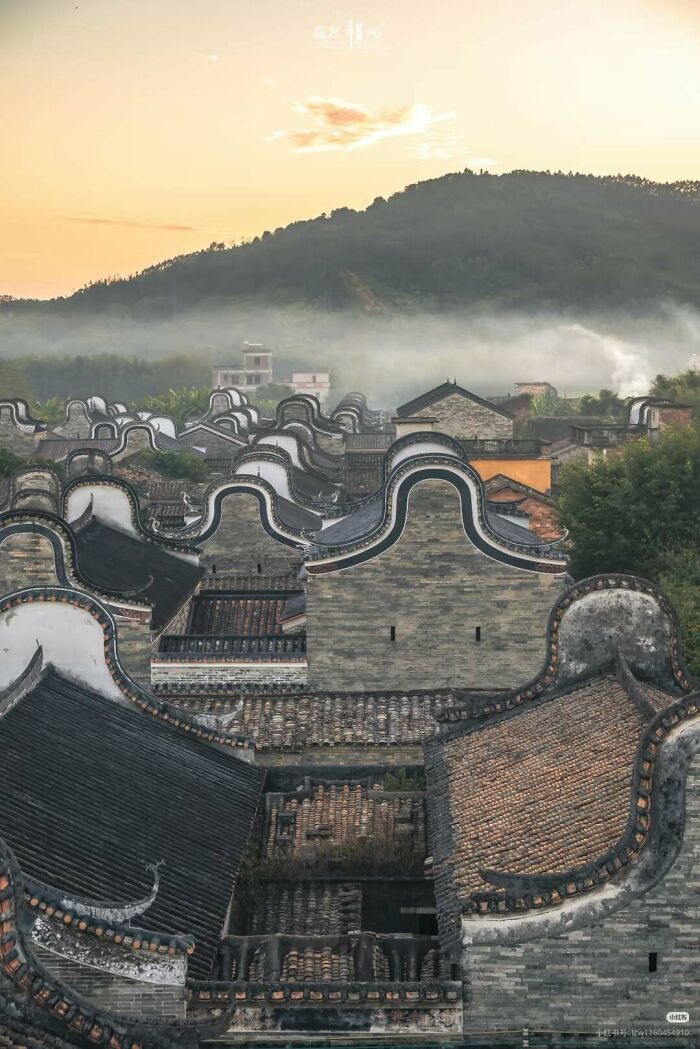 China’s Wok-Ear Houses: What’s Cooking?