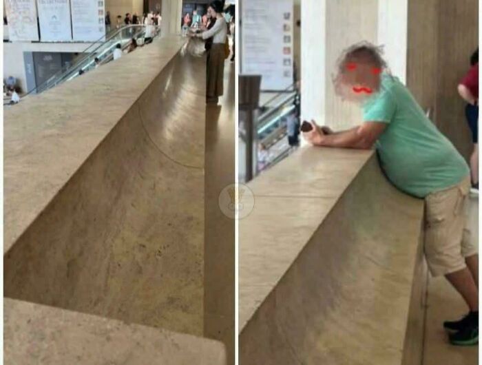 When The Form Truly Follows The Function