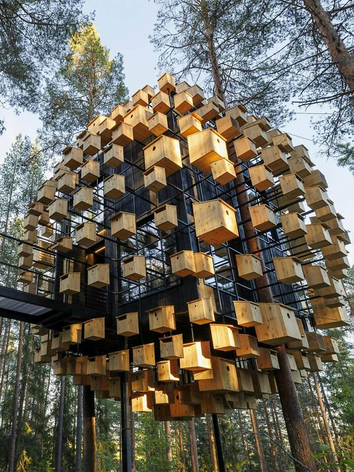 Biosphere At Treehotel: Stay Somewhere Magical