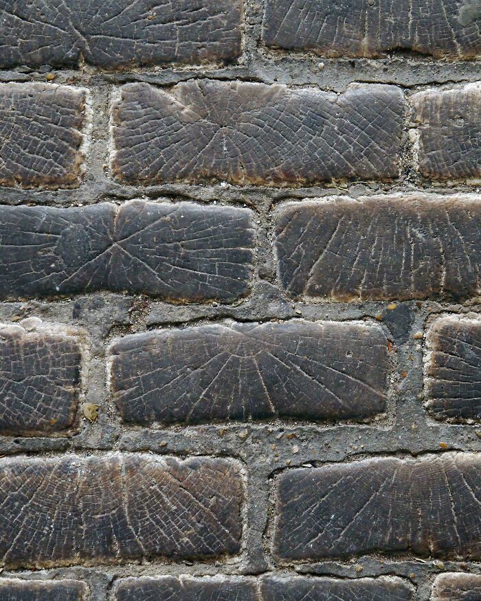 Paris Once Paved With Wooden Cobblestones?